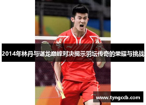 2014年林丹与谌龙巅峰对决揭示羽坛传奇的荣耀与挑战