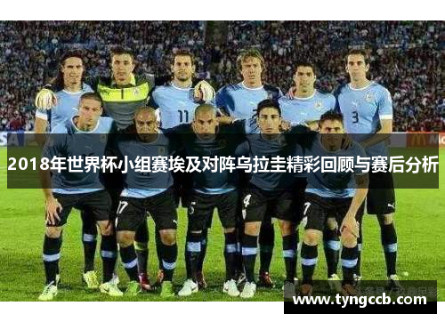 2018年世界杯小组赛埃及对阵乌拉圭精彩回顾与赛后分析