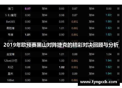 2019年欧预赛黑山对阵捷克的精彩对决回顾与分析